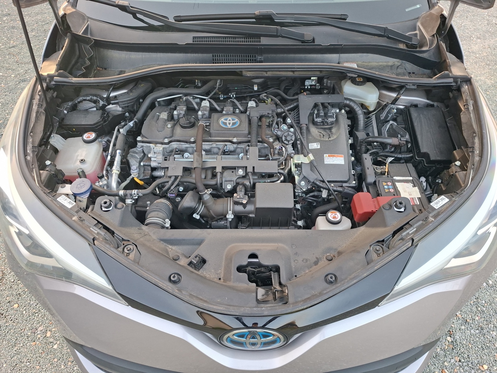 Toyota C-Hr 29