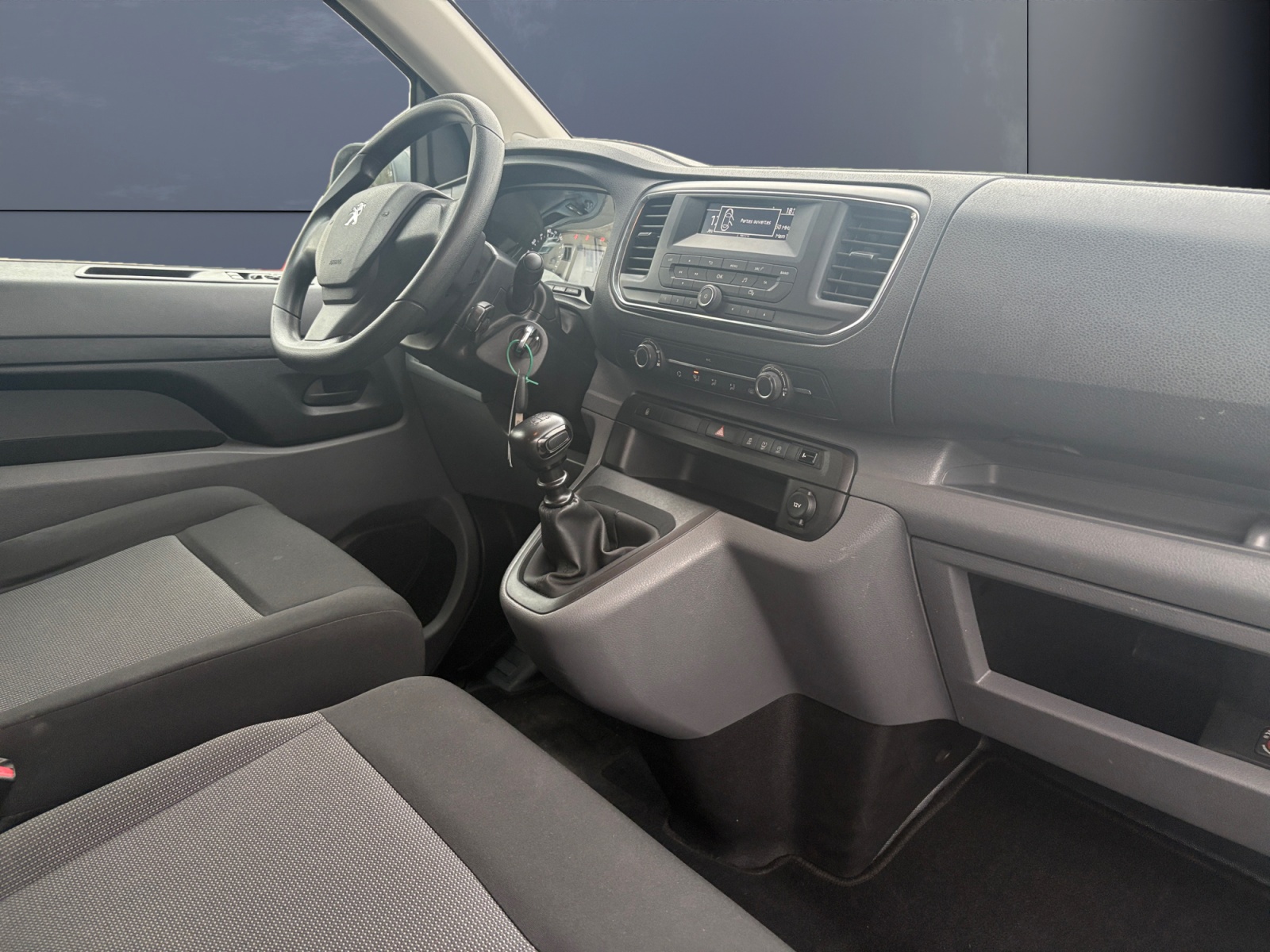 Peugeot Traveller 12