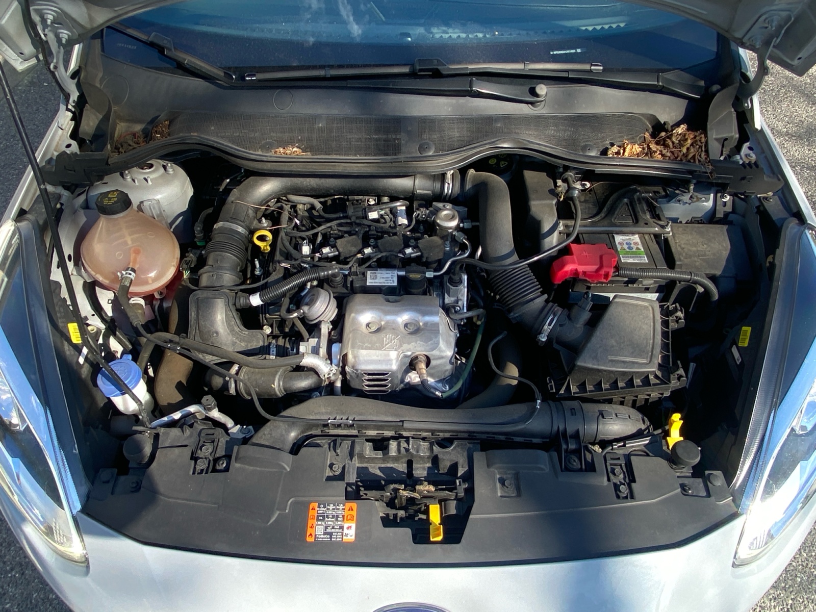 Ford Fiesta 30