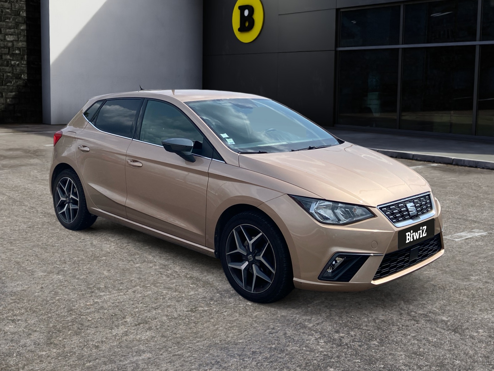 Seat Ibiza 6