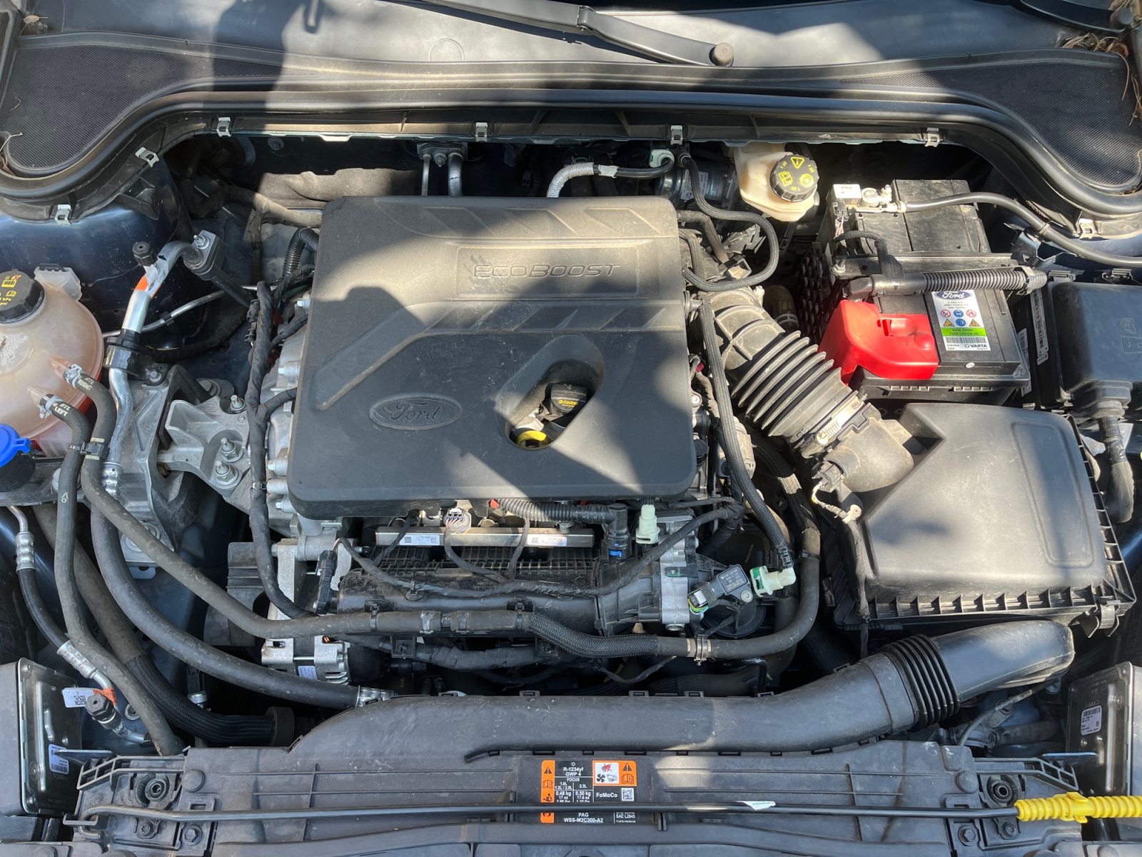 Ford Focus 24