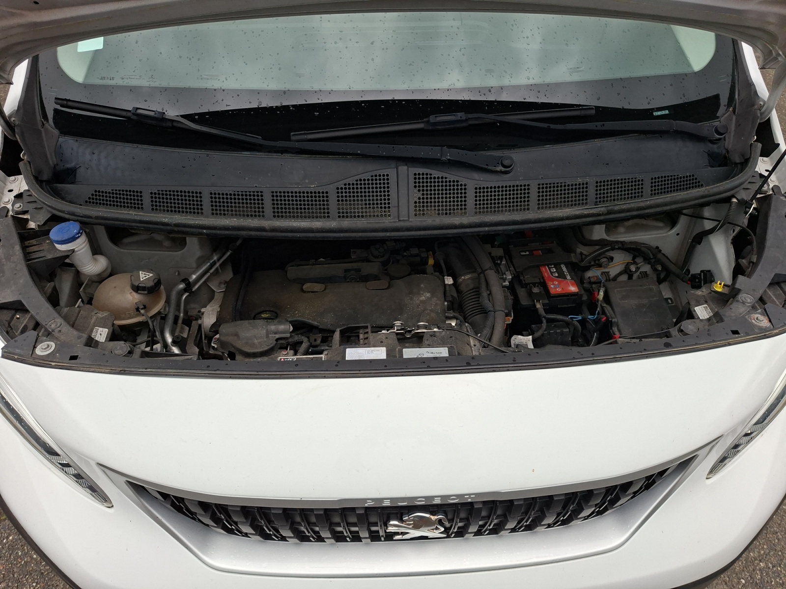 Peugeot Expert 26