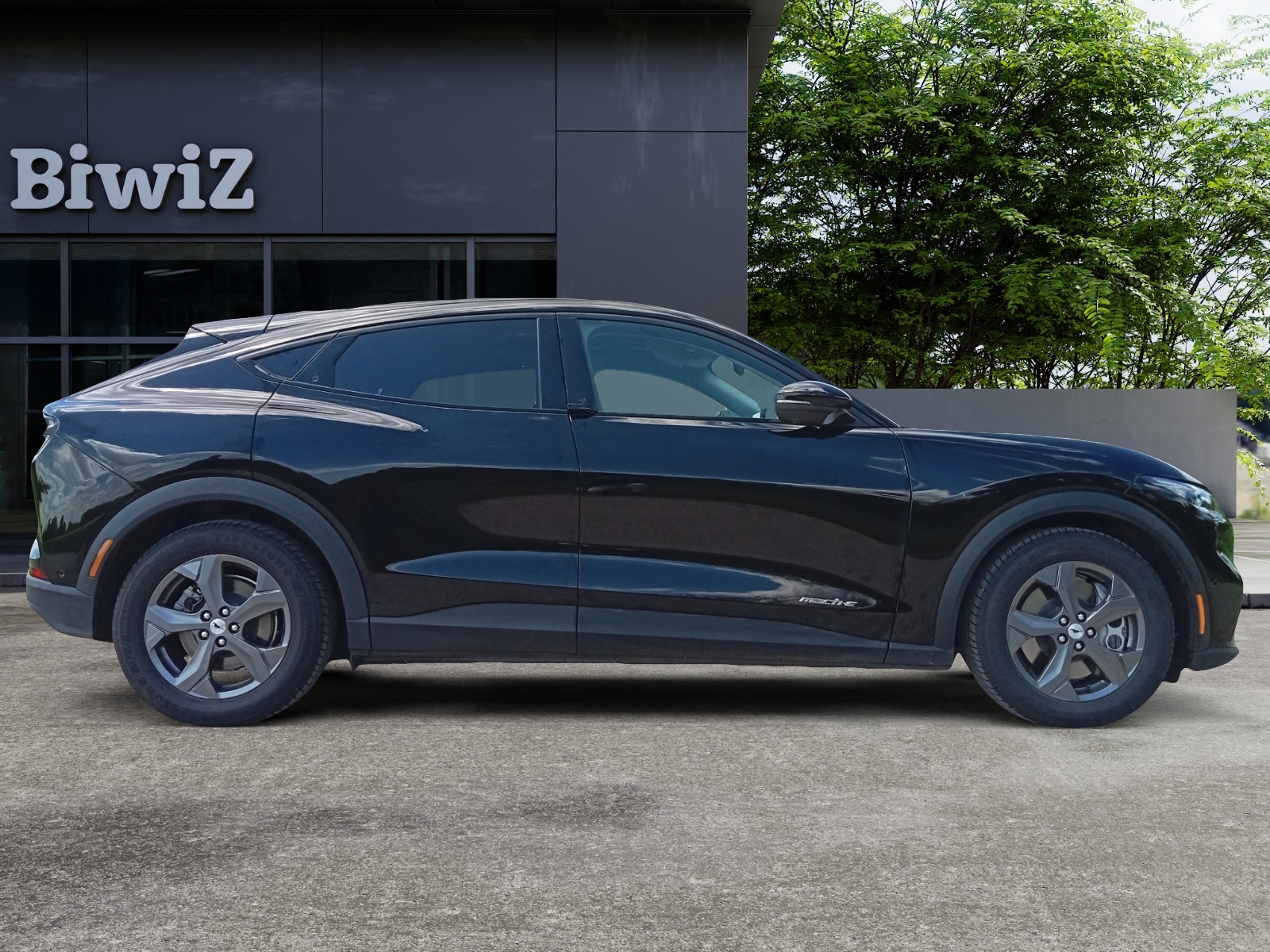 Ford Mustang Mach-E 5
