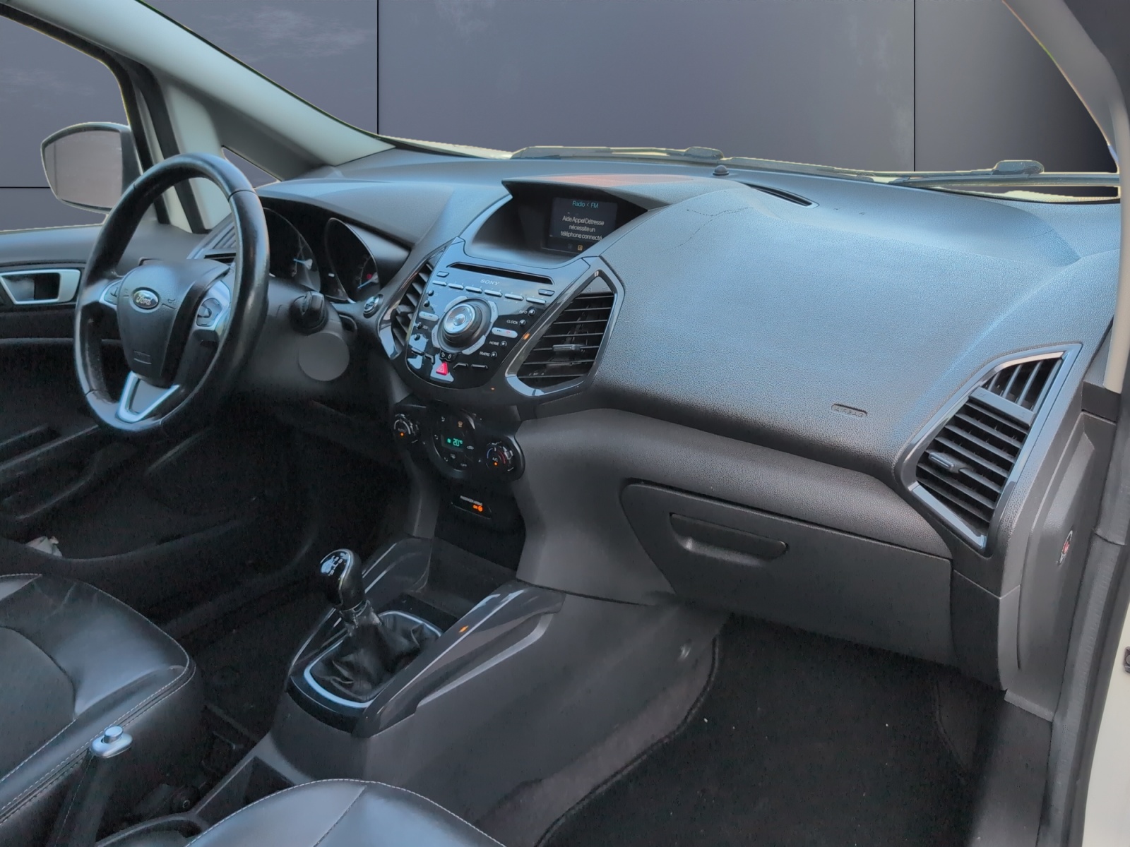 Ford Ecosport 12