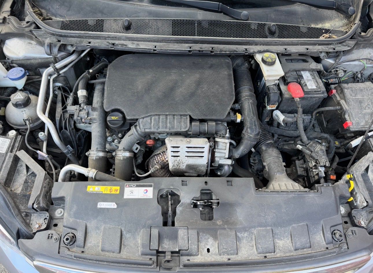 Peugeot 308 44