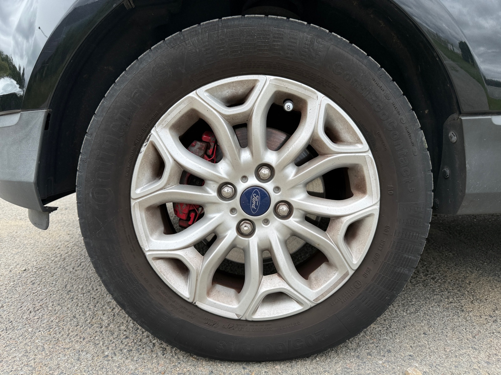 Ford Ecosport 33