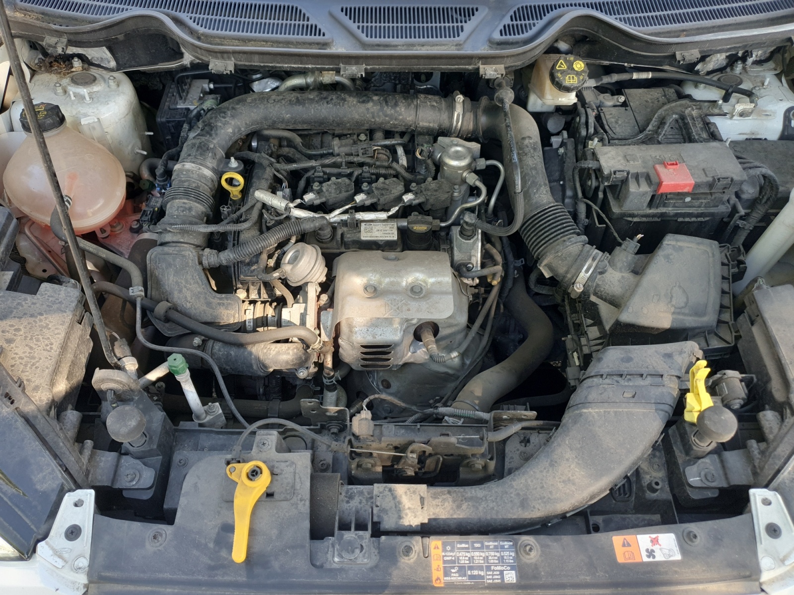 Ford Ecosport 24