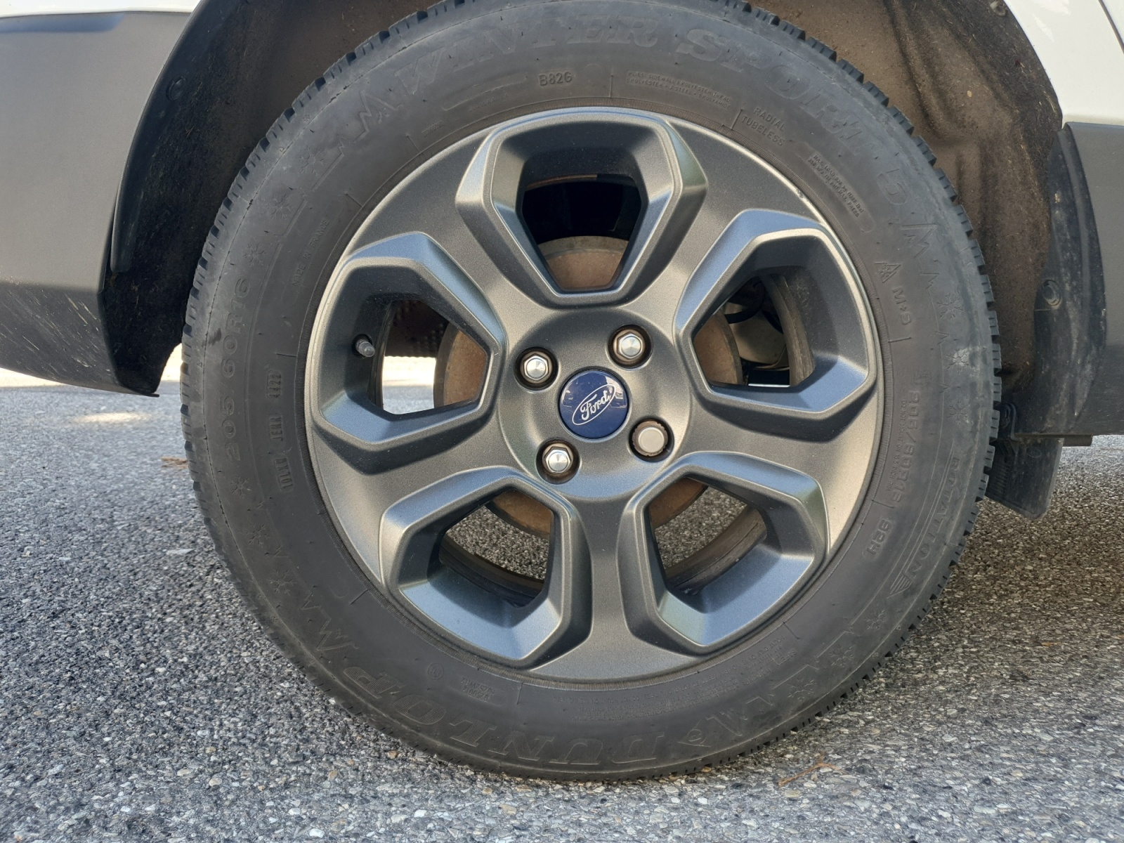 Ford Ecosport 33