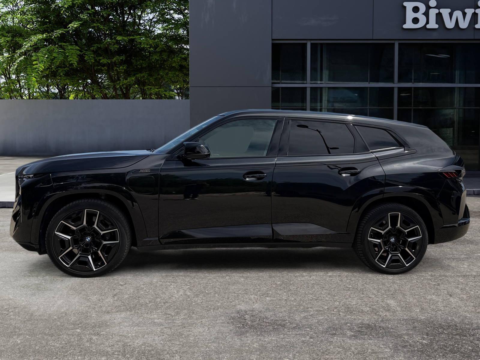 Bmw Xm 1