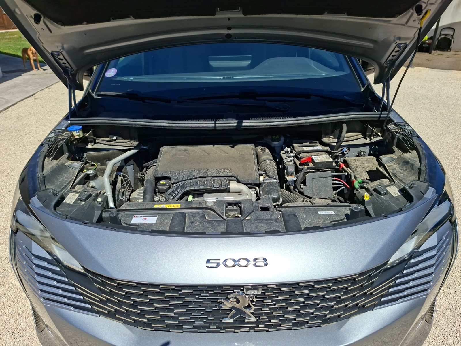 Peugeot 5008 52