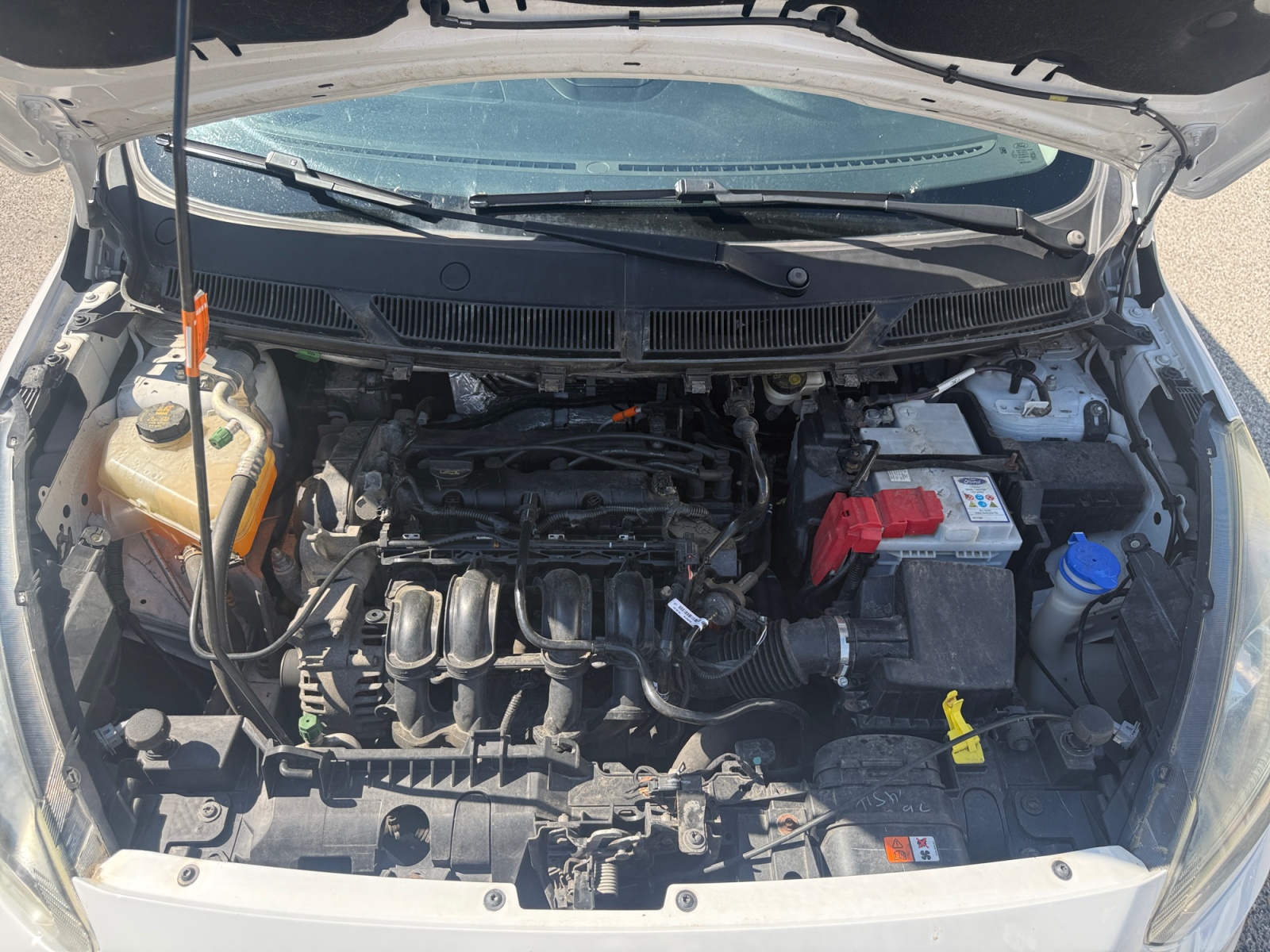 Ford Ka Plus 25