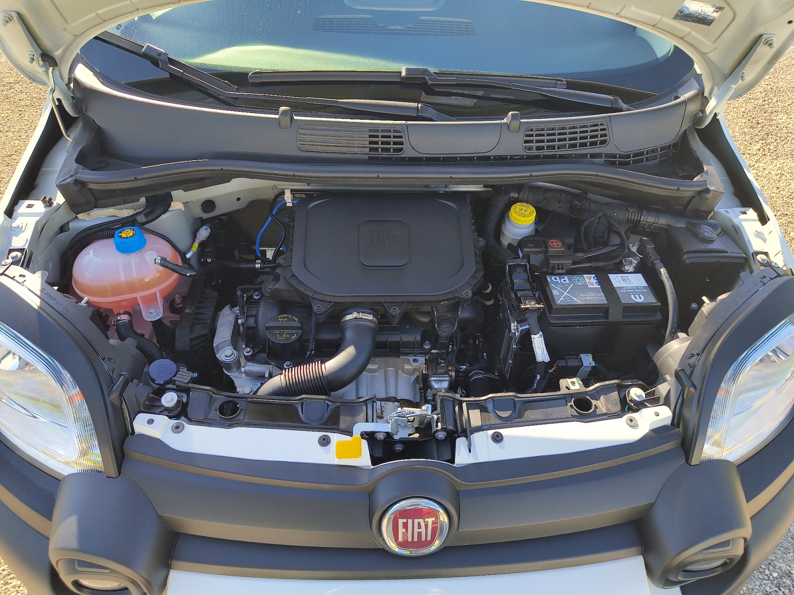 Fiat Panda 21
