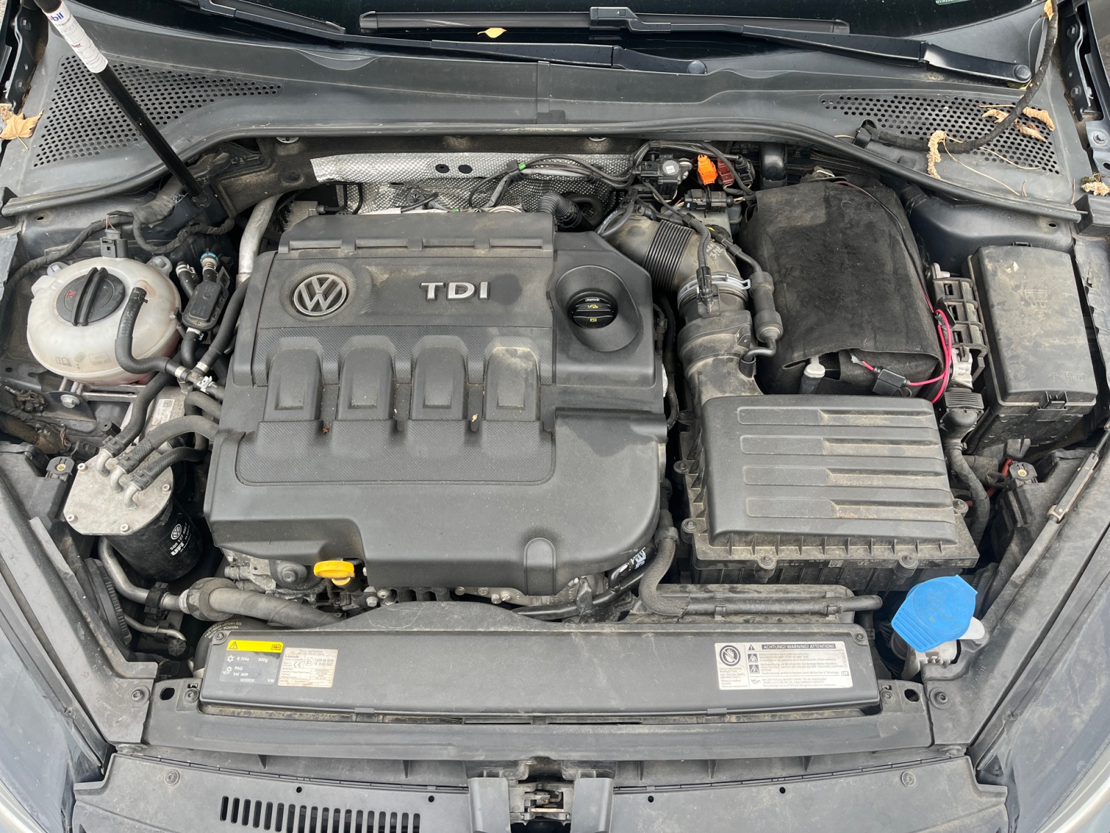 Volkswagen Golf 28