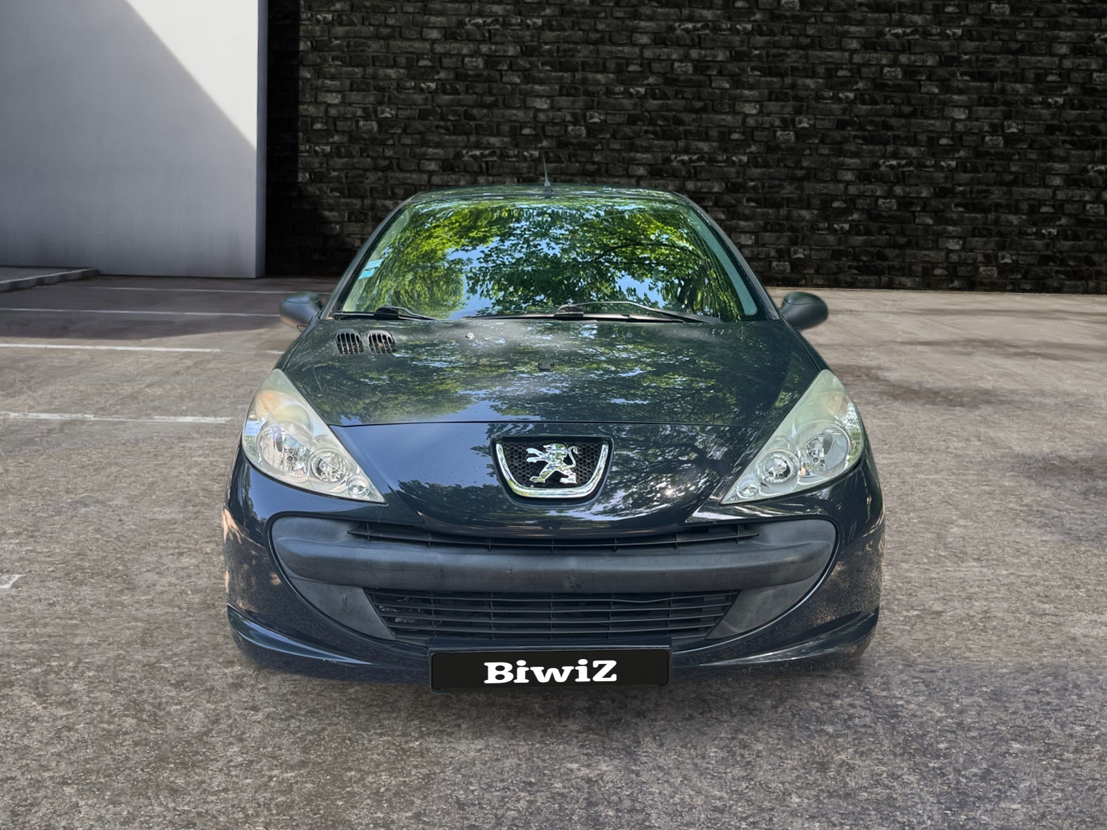 Peugeot 206 Plus 7