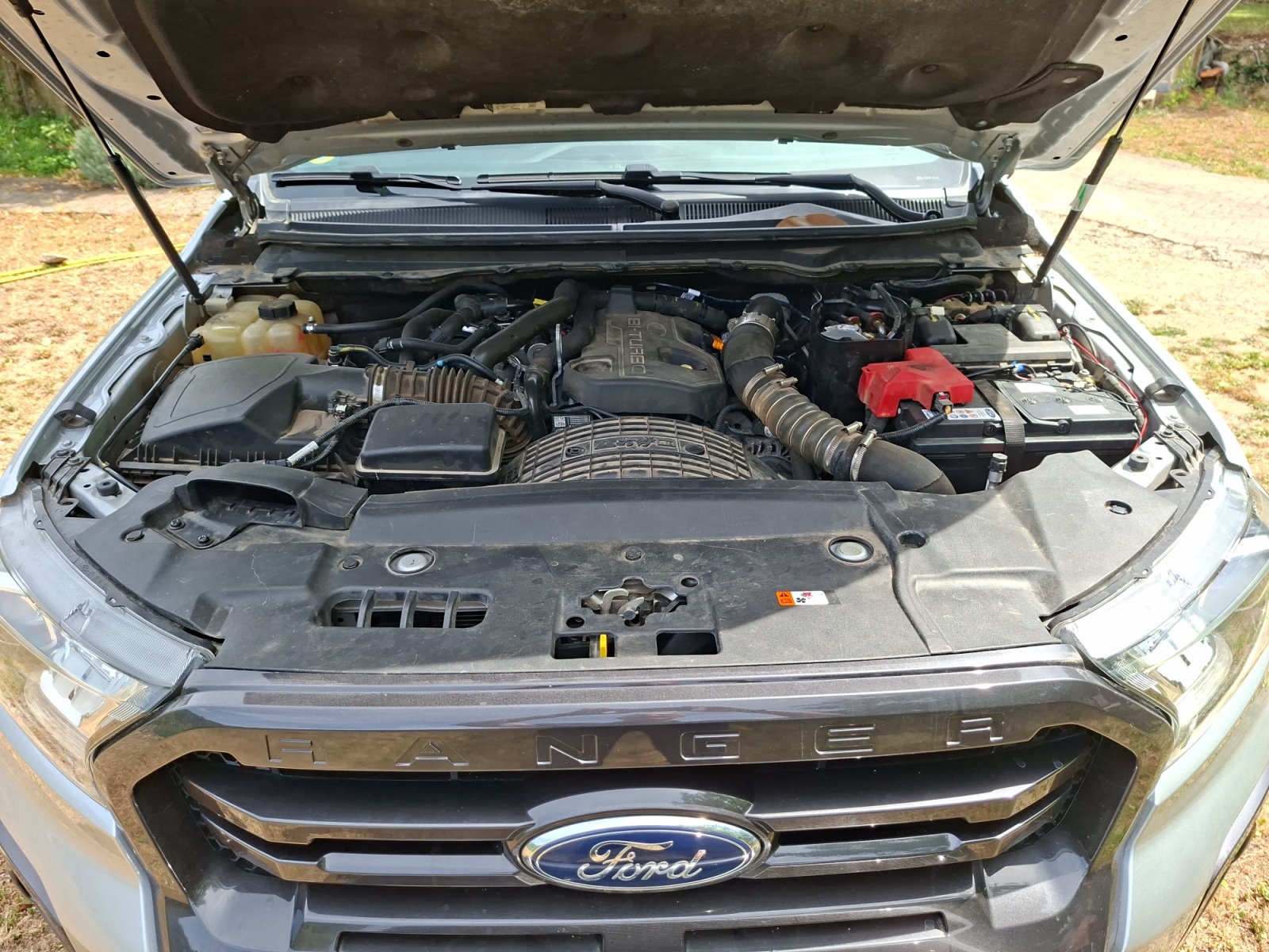 Ford Ranger 53