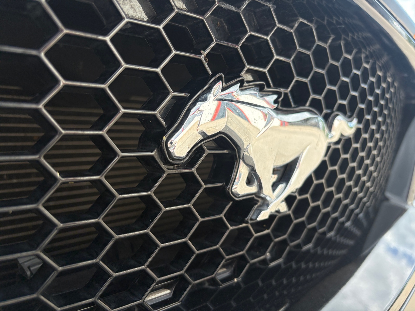 Ford Mustang 36