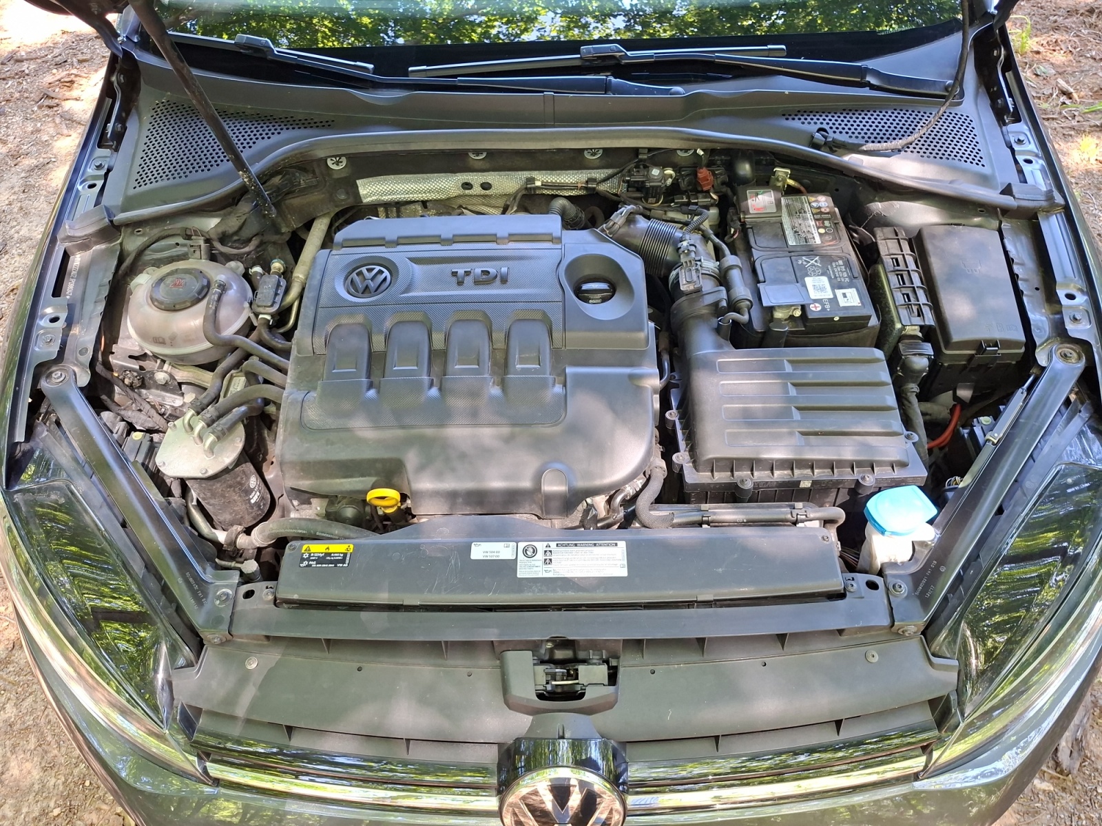 Volkswagen Golf 26