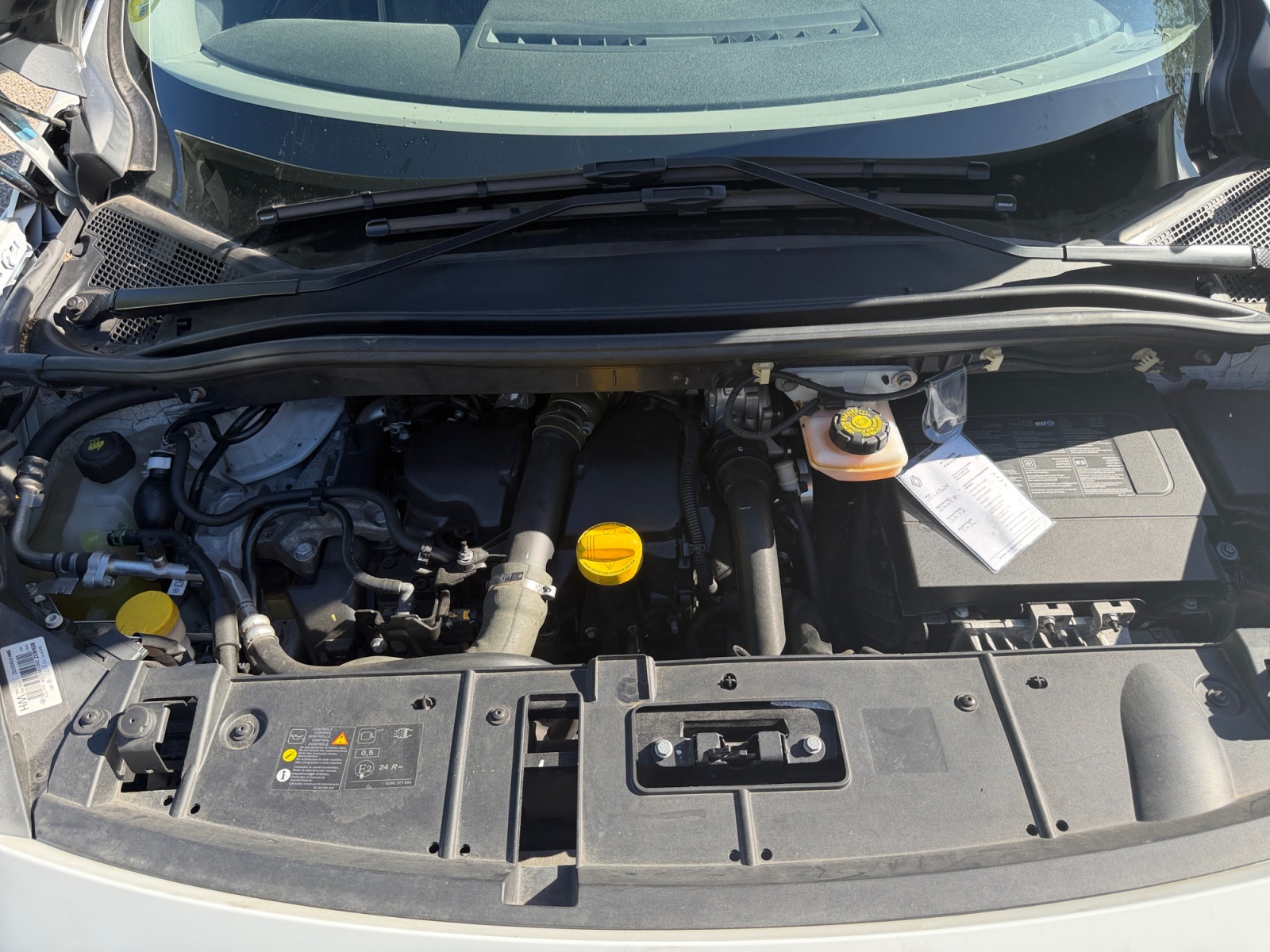 Renault Scenic 25