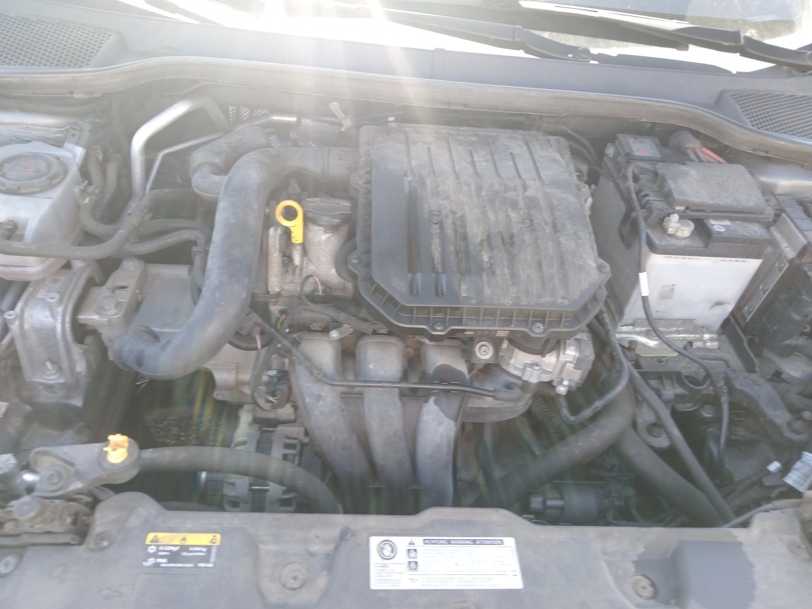 Seat Ibiza 31