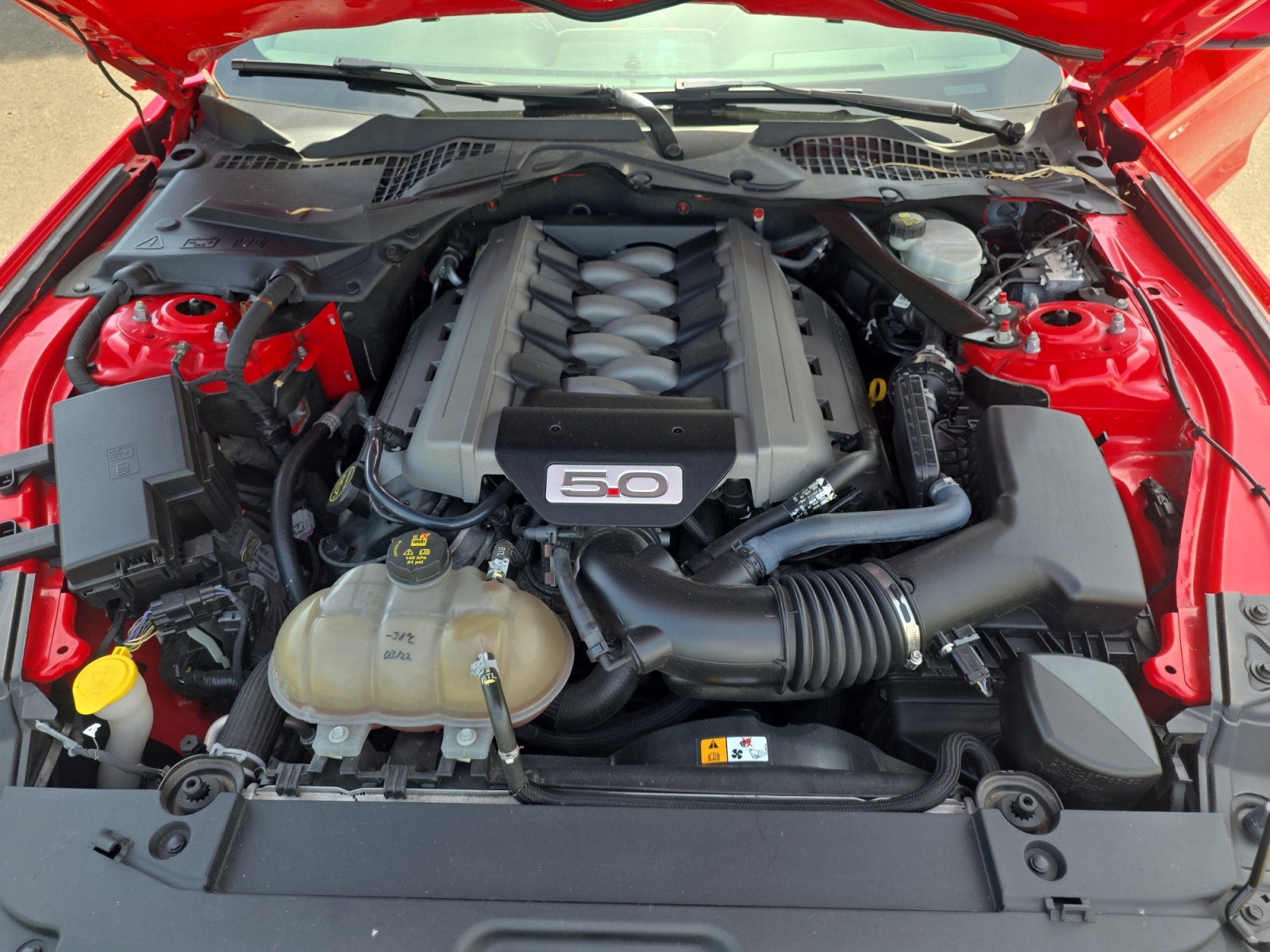 Ford Mustang 24