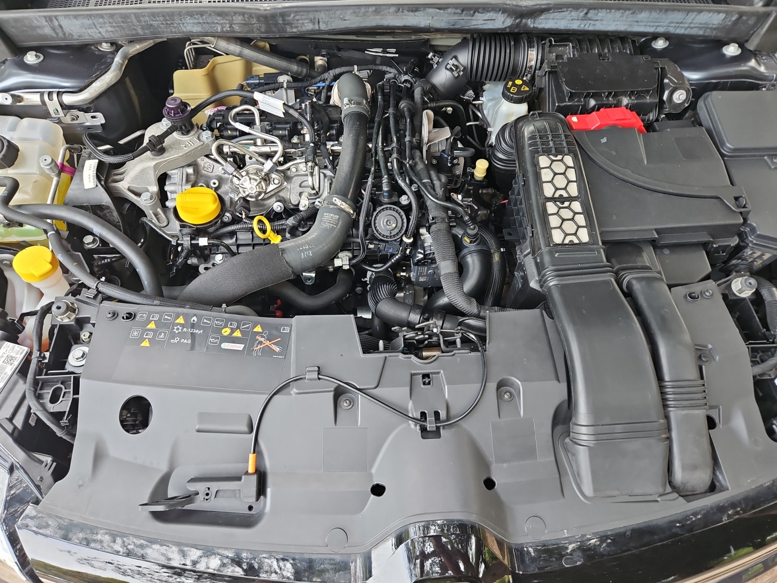 Renault Megane 25