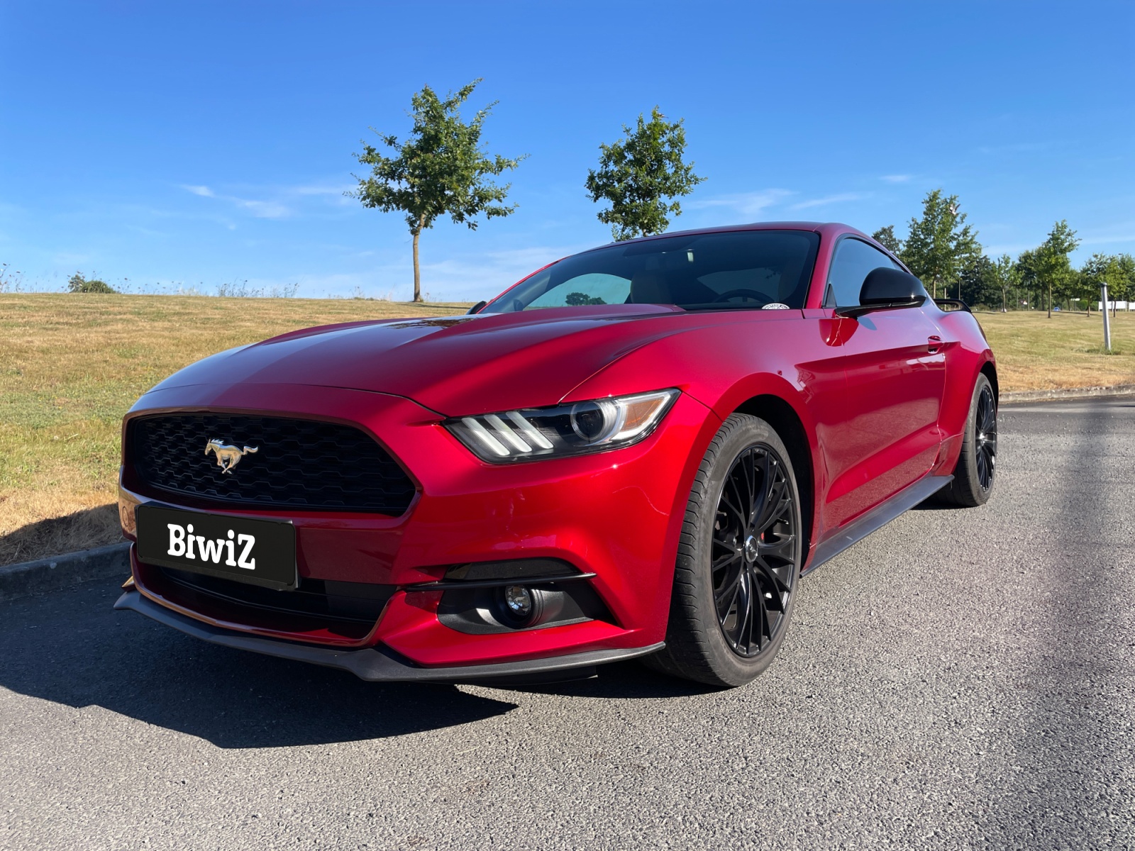 Ford Mustang 32