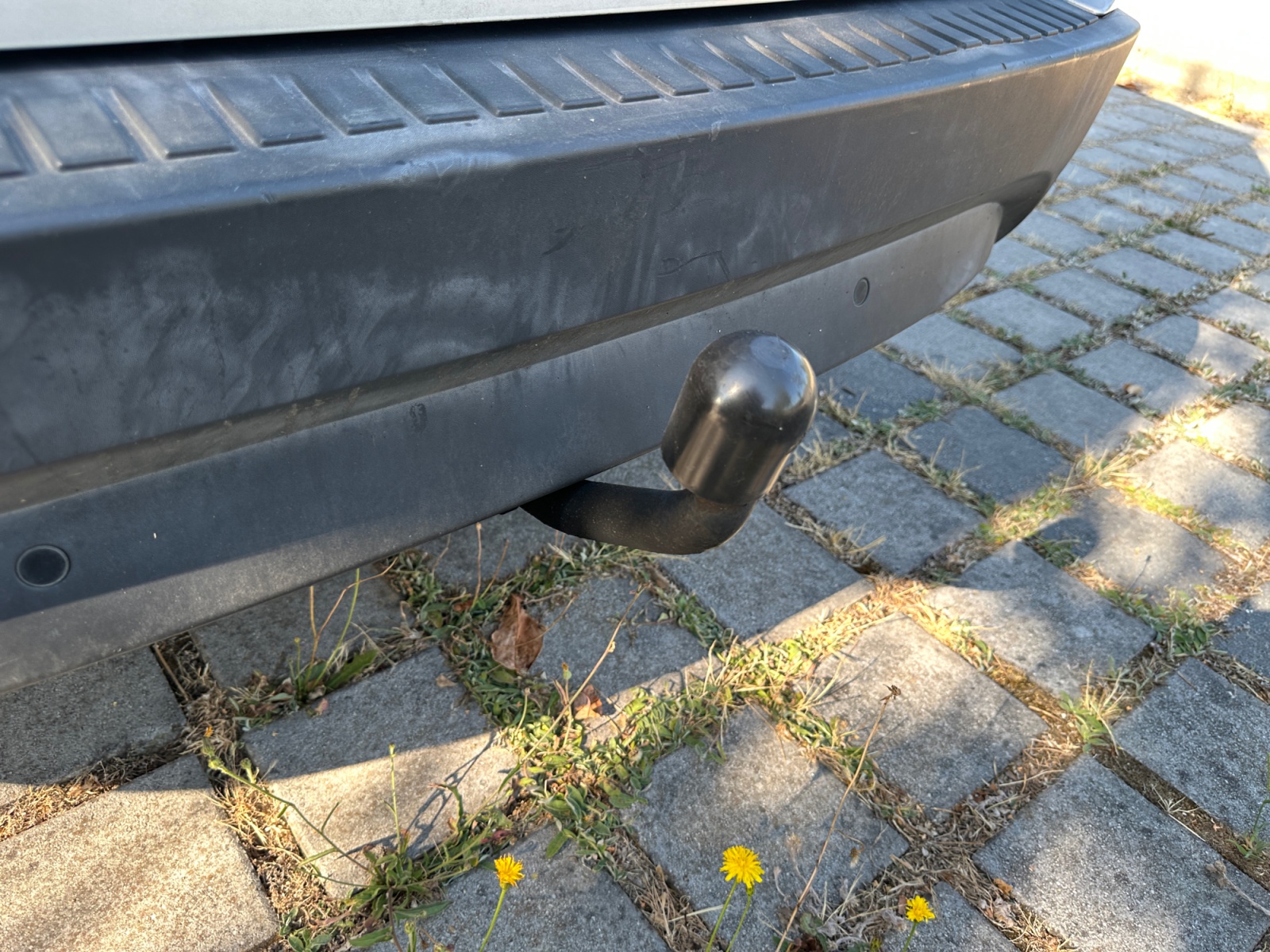 Renault Scenic 22