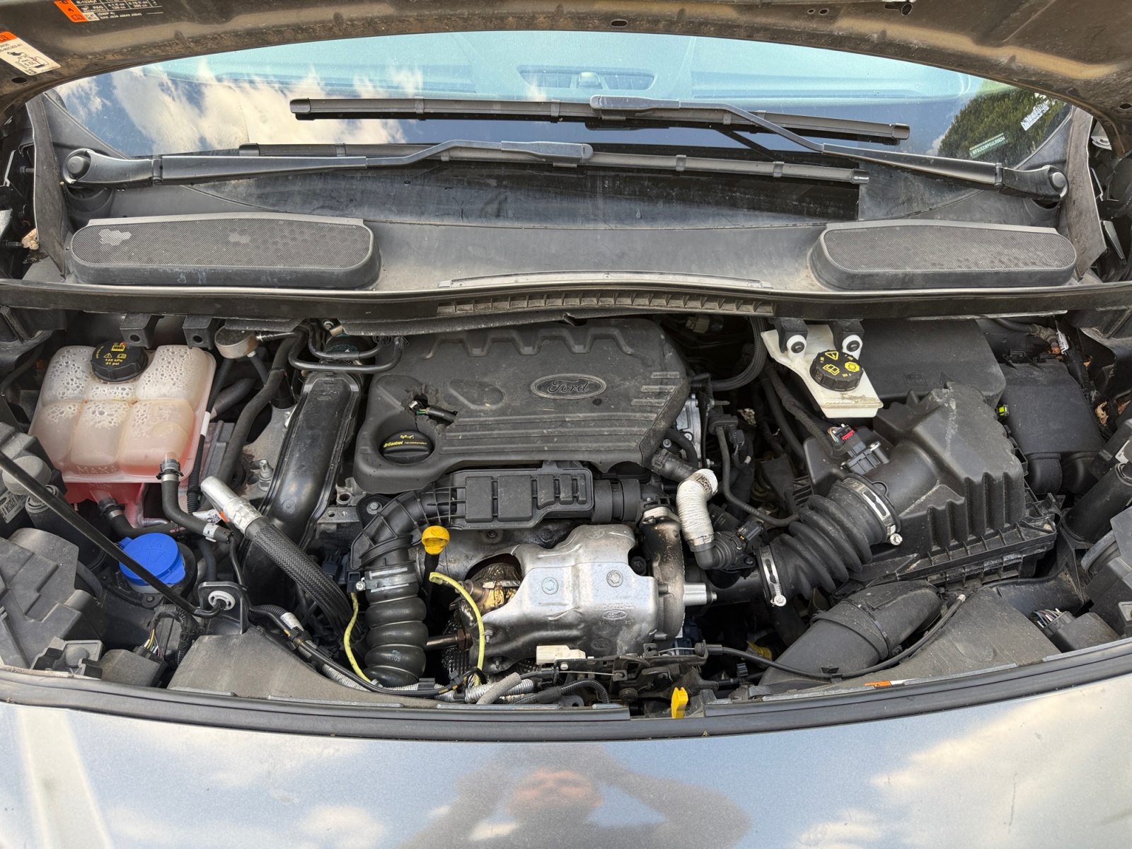 Ford Tourneo Connect 28