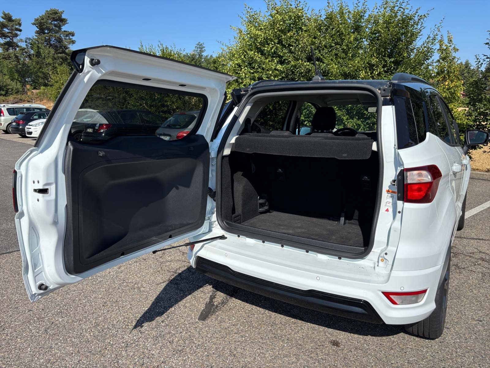 Ford Ecosport 30