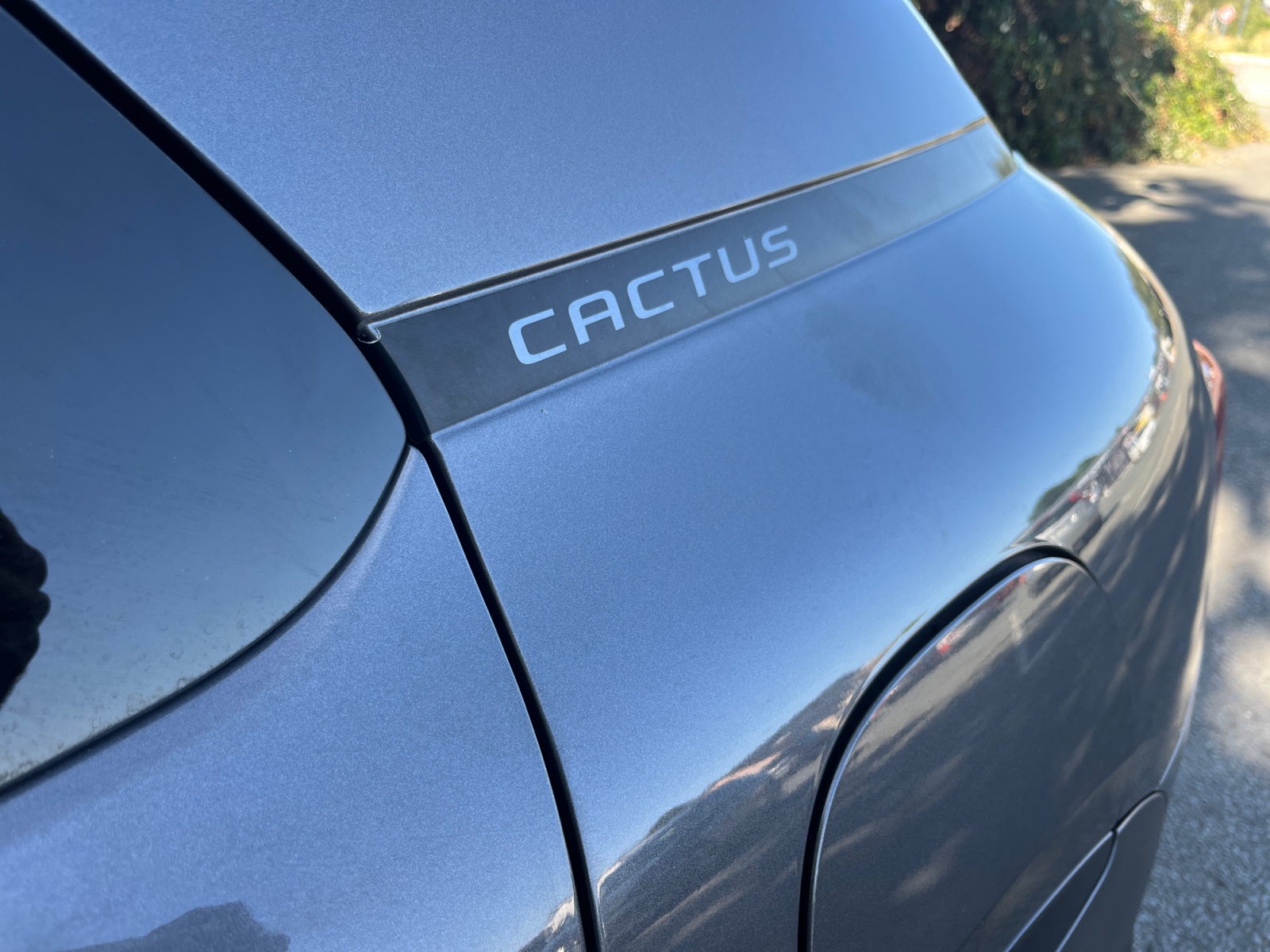 Citroen C4 Cactus 20