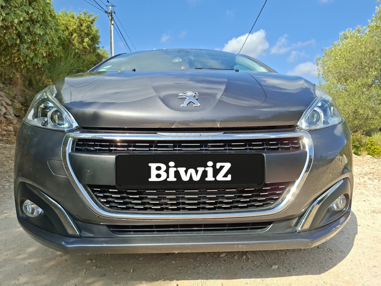Peugeot 208 42
