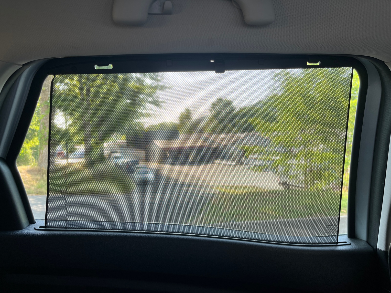 Renault Scenic 17