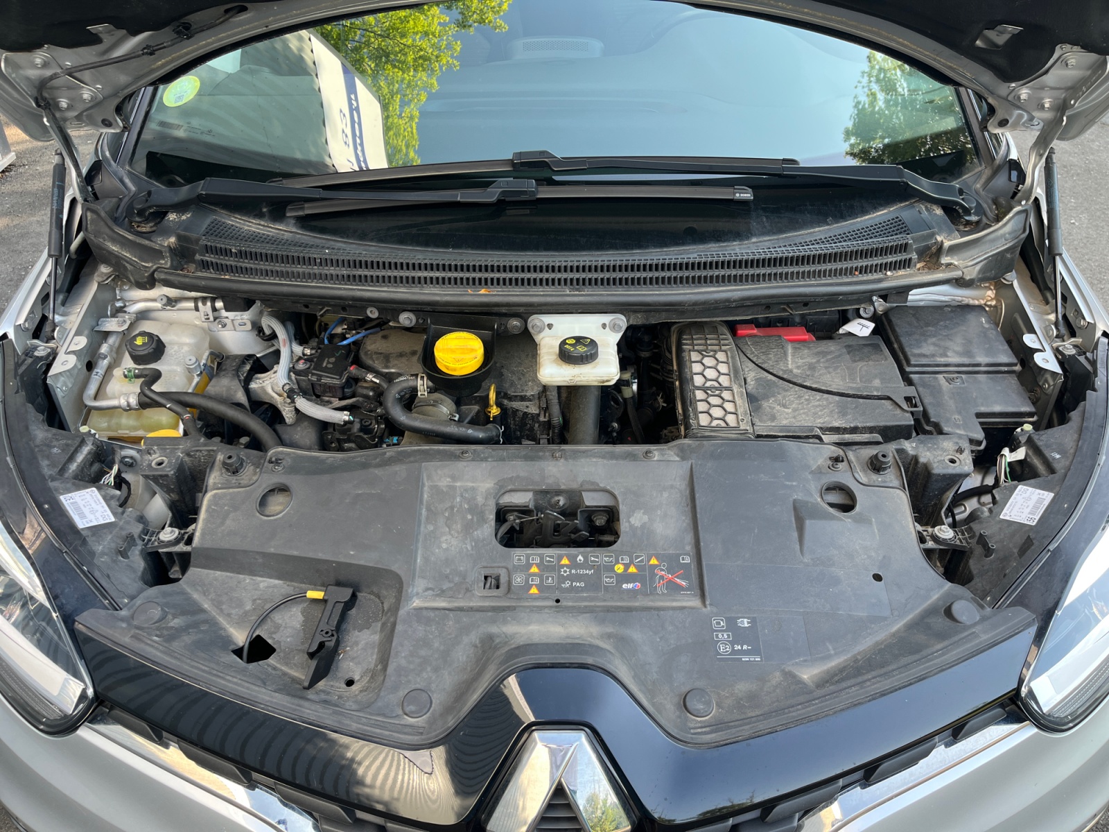 Renault Scenic 28