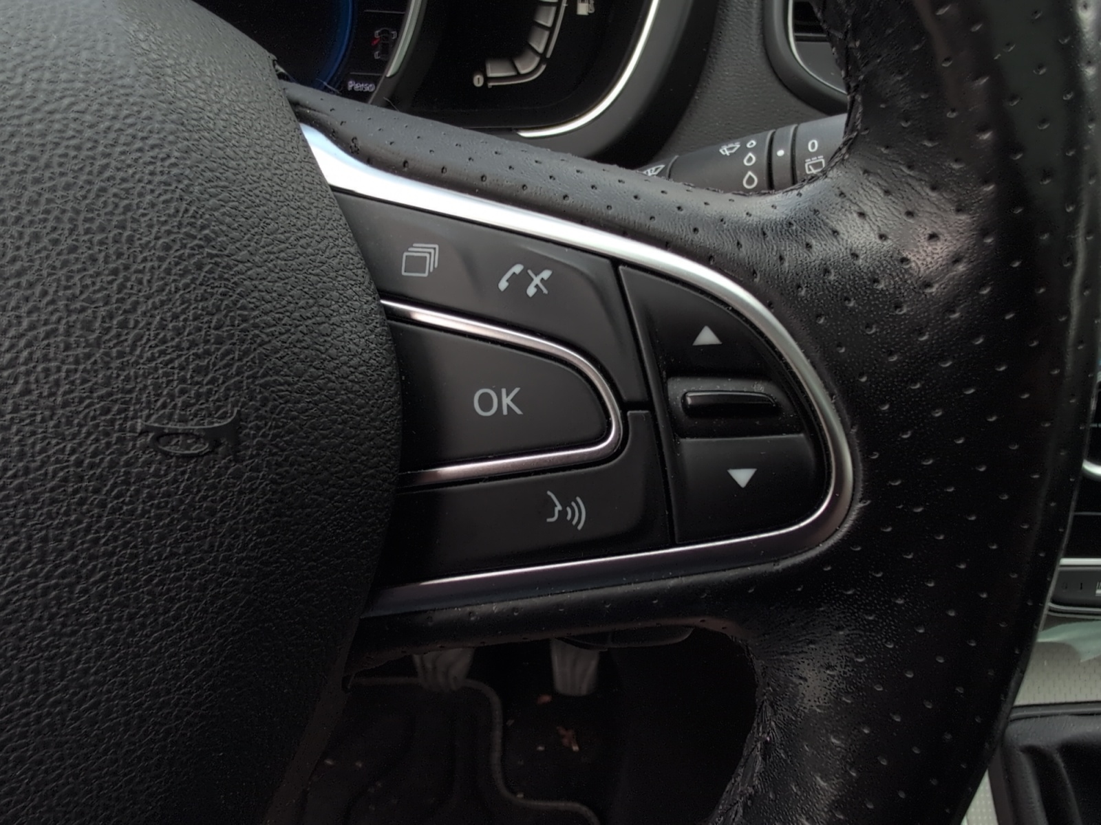 Renault Grand Scenic 25
