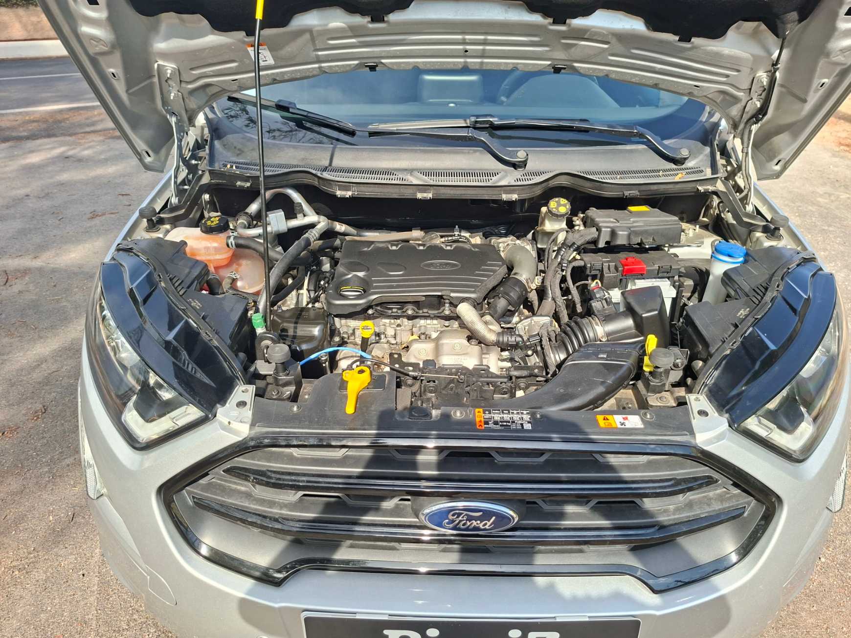 Ford Ecosport 52