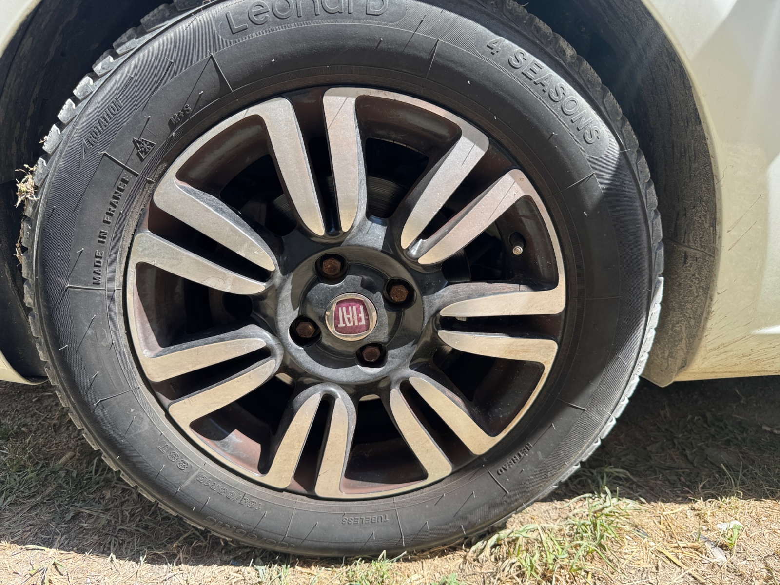 Fiat Punto 31