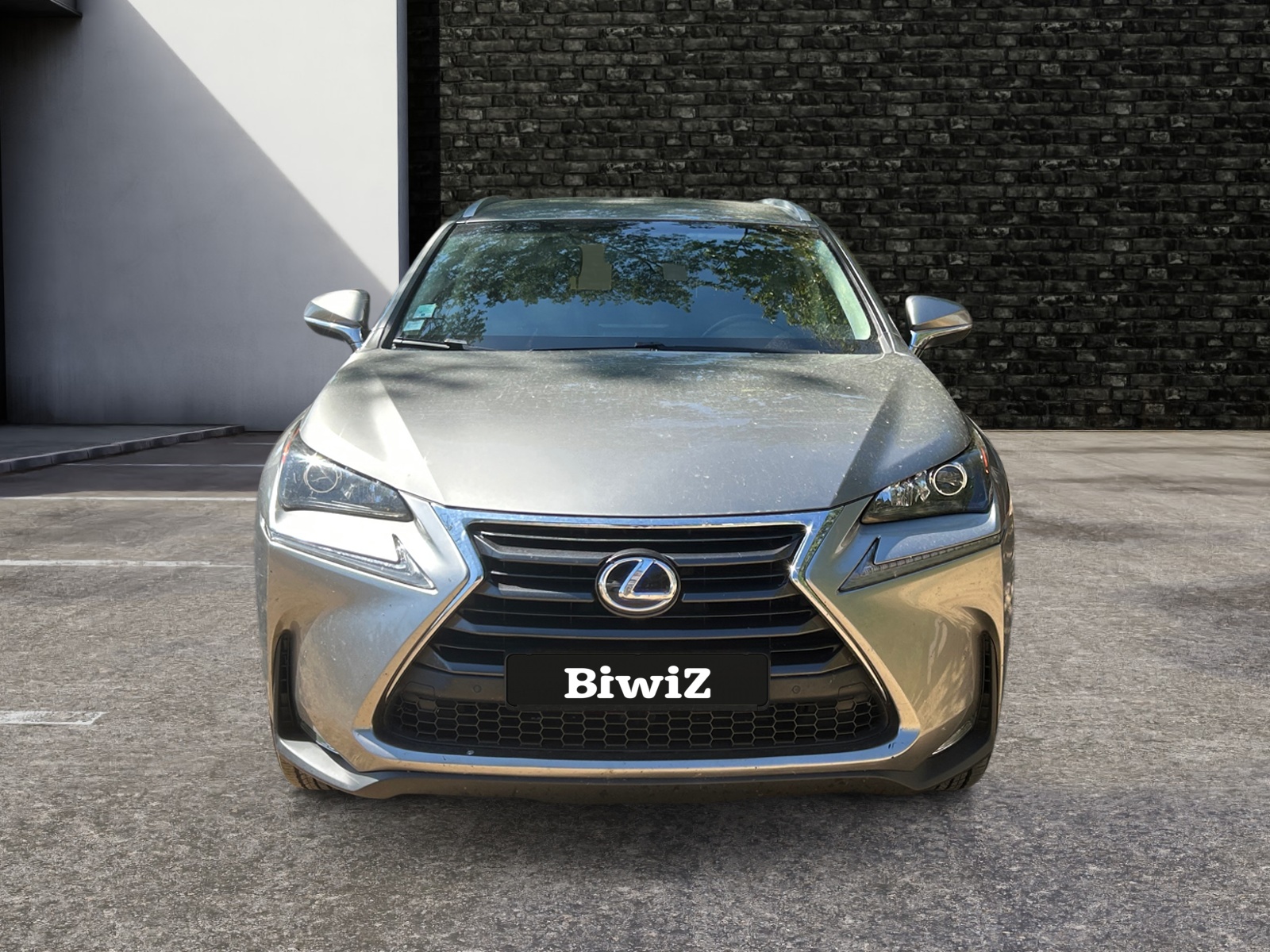 Lexus Nx 7