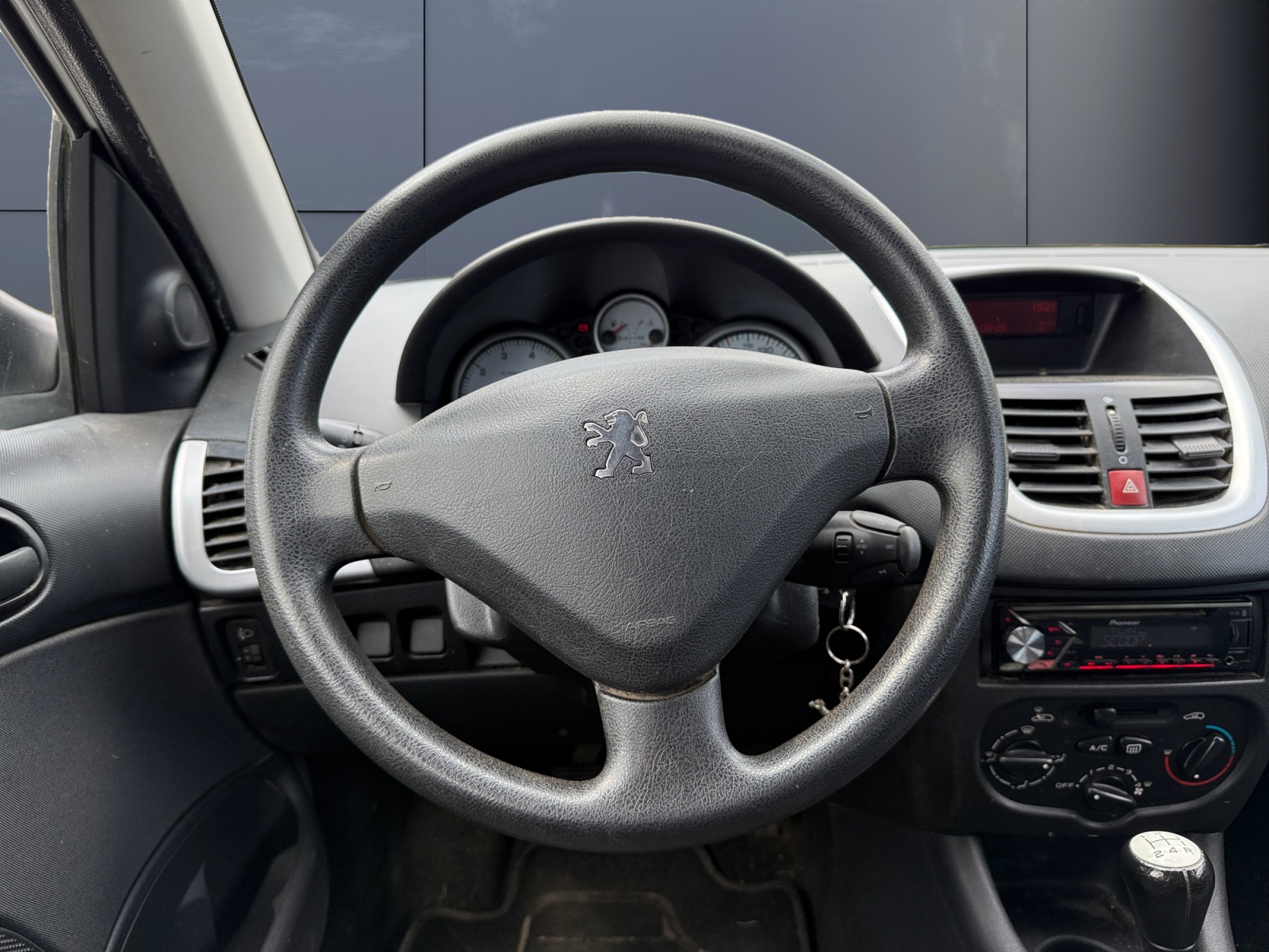 Peugeot 206 Plus 15