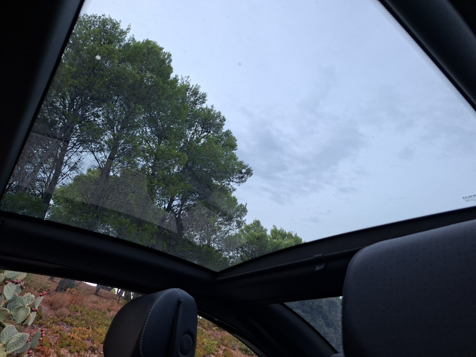 Renault Megane 26