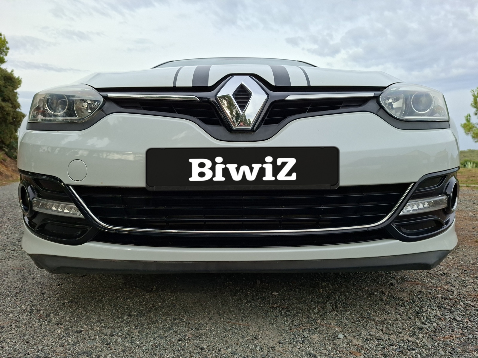 Renault Megane 43