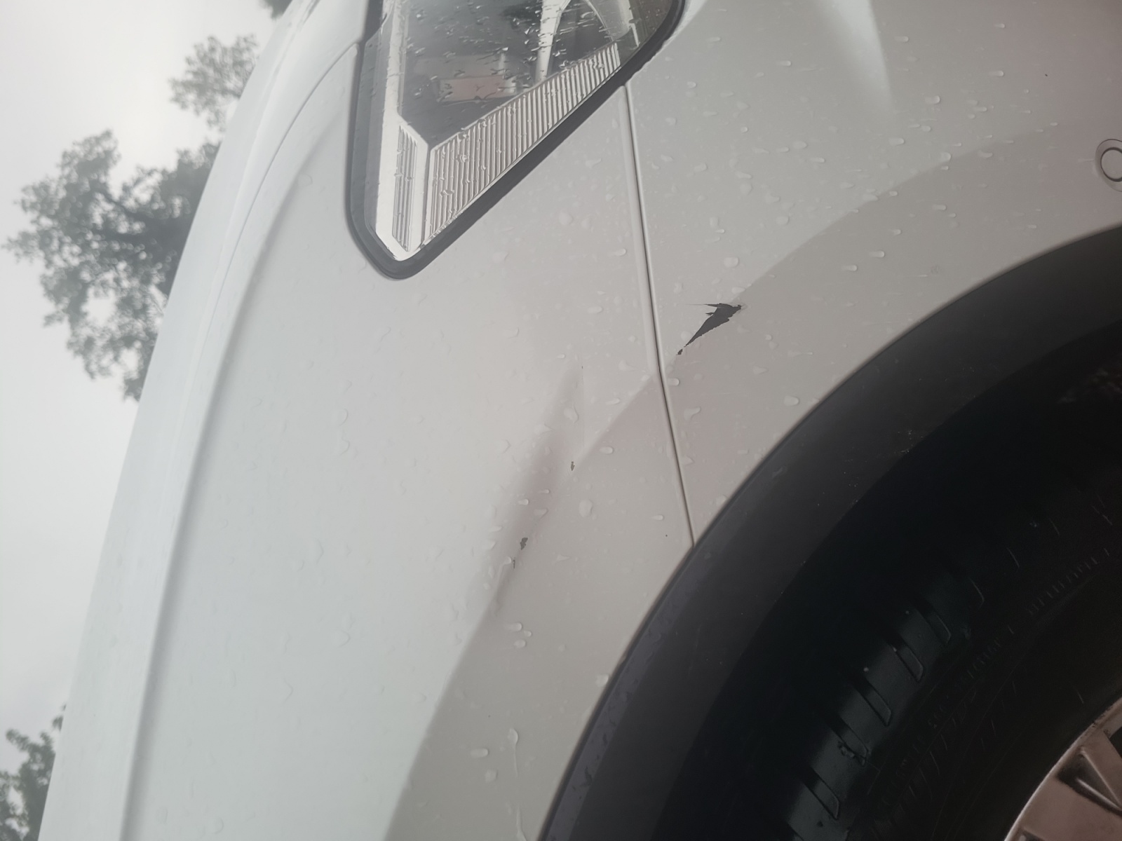 Volkswagen Tiguan 26