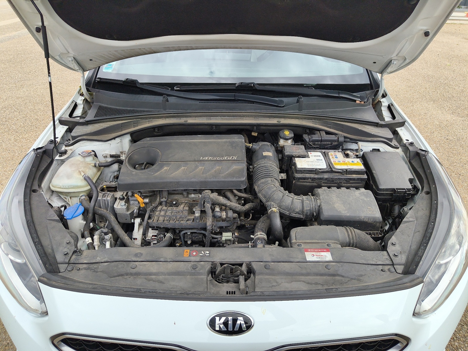 Kia Ceed 19