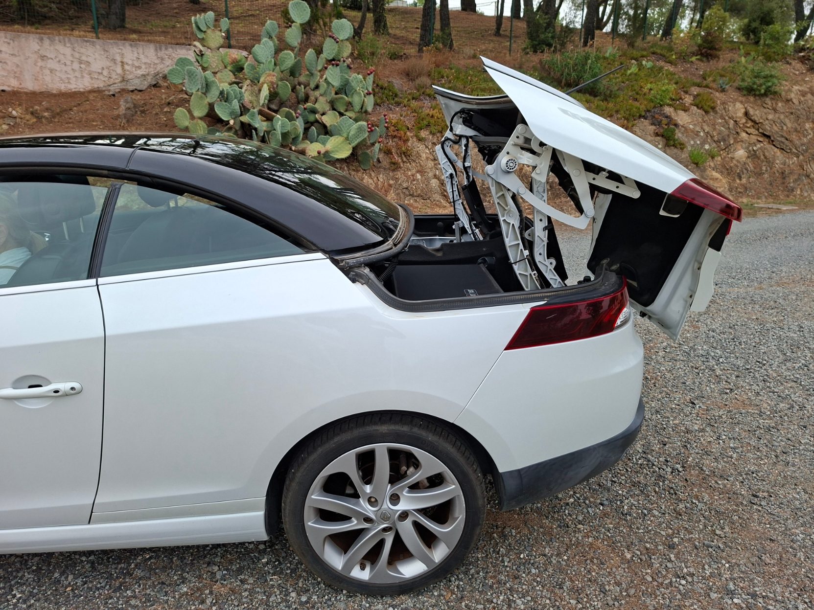 Renault Megane 46