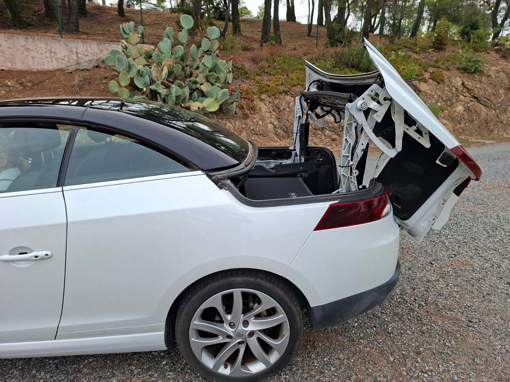 Renault Megane 47