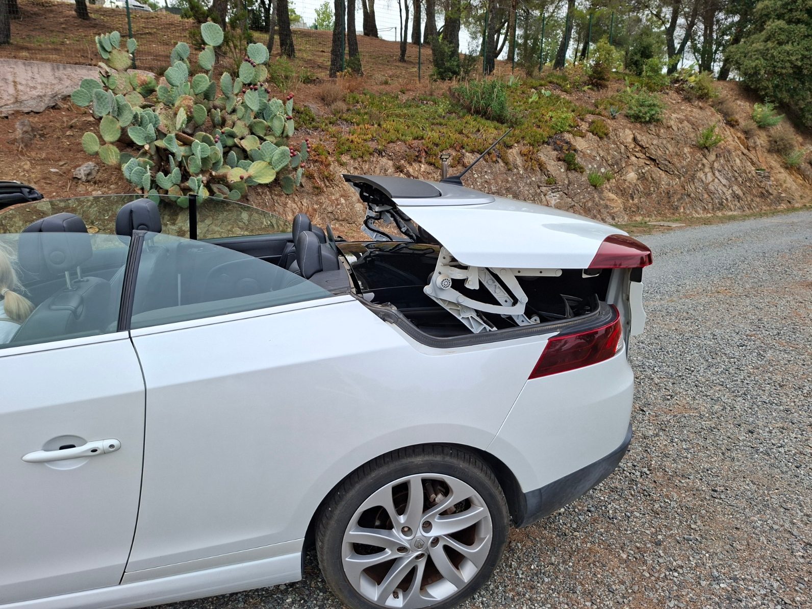 Renault Megane 49