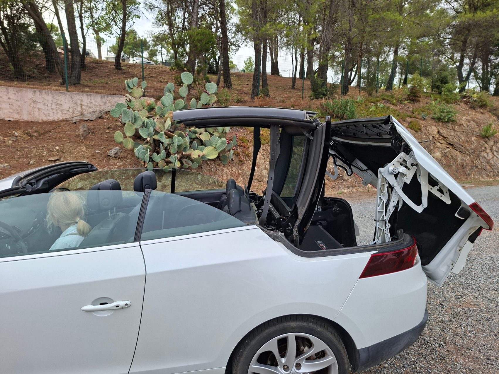 Renault Megane 48