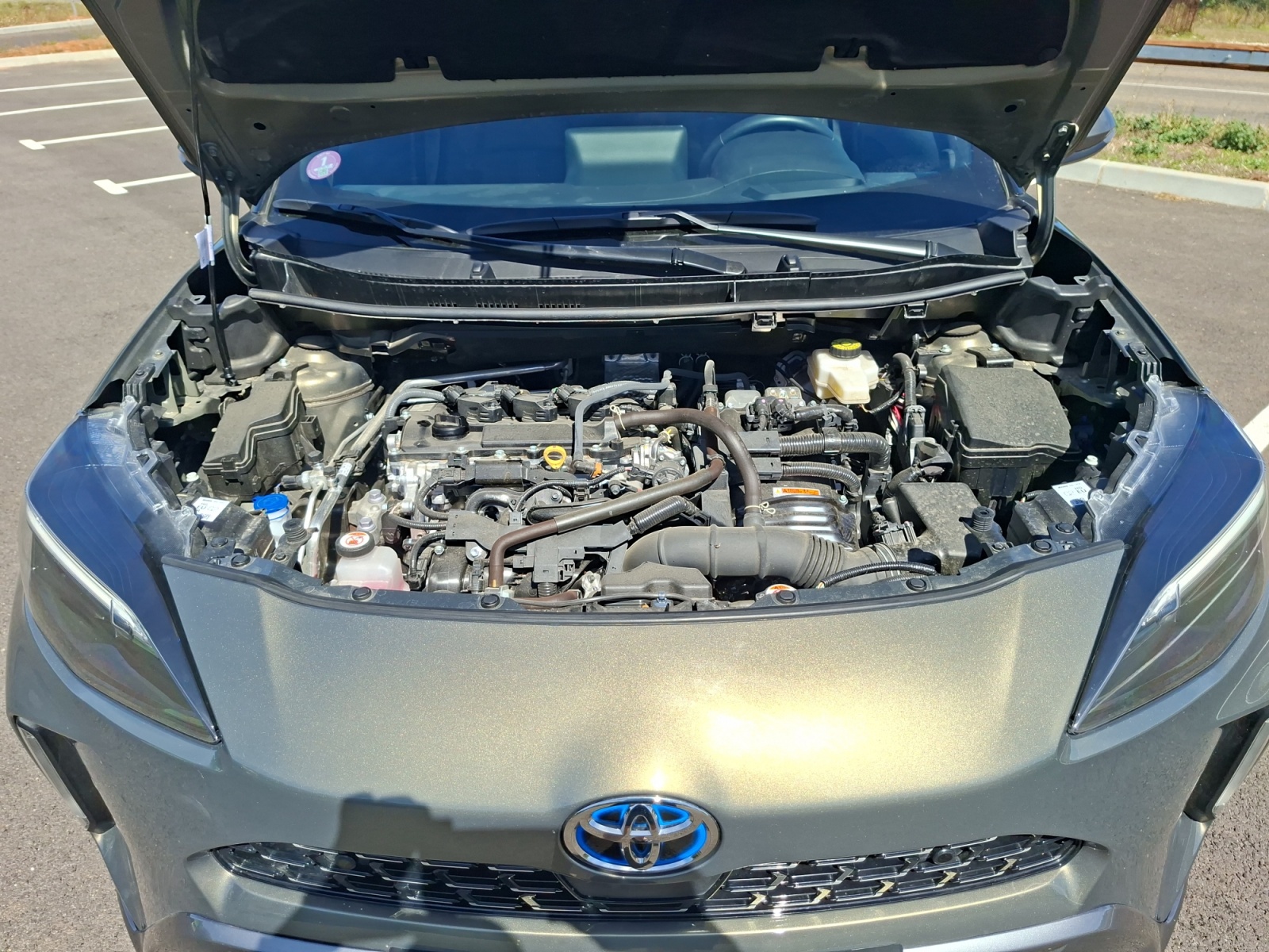 Toyota Yaris 50