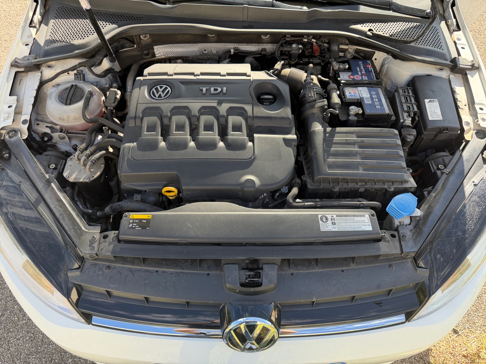 Volkswagen Golf 24