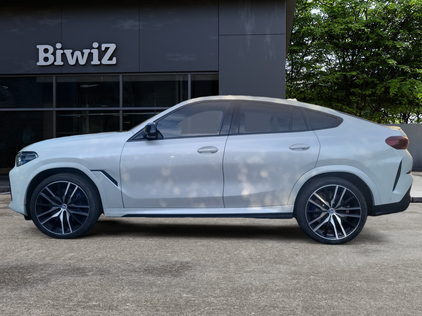 Bmw X6 1