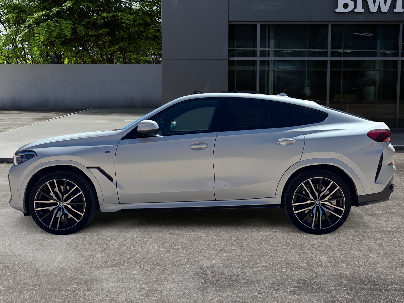 Bmw X6 1